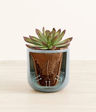 Load image into Gallery viewer, Misty Blue stand:all
