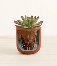 Load image into Gallery viewer, Earth Red stand:all
