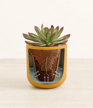 Load image into Gallery viewer, Sunset Orange stand:all
