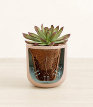 Load image into Gallery viewer, Sandy Pink stand:all
