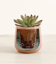 Load image into Gallery viewer, Calm Rose stand:all
