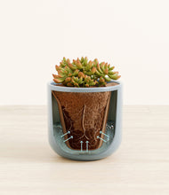 Load image into Gallery viewer, Misty Blue stand:all
