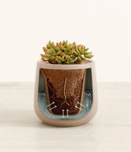 Load image into Gallery viewer, Eternal Gray stand:all
