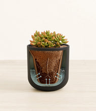 Load image into Gallery viewer, Stone Black stand:all
