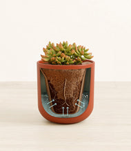 Load image into Gallery viewer, Earth Red stand:all
