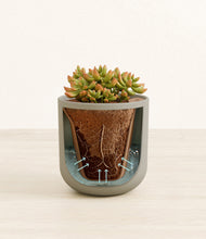 Load image into Gallery viewer, Sage Green stand:all
