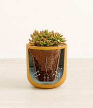 Load image into Gallery viewer, Sunset Orange stand:all
