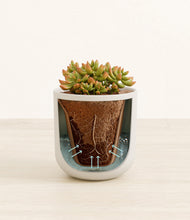 Load image into Gallery viewer, Natural Bamboo stand:all
