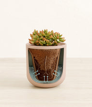 Load image into Gallery viewer, Sandy Pink stand:all
