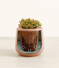 Load image into Gallery viewer, Calm Rose stand:all
