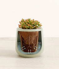 Load image into Gallery viewer, Turquoise stand:all
