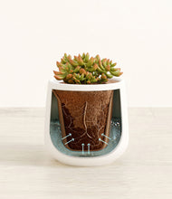 Load image into Gallery viewer, White stand:all
