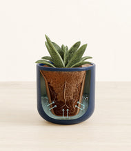 Load image into Gallery viewer, Twilight Blue stand:all
