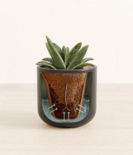 Load image into Gallery viewer, Stone Black stand:all
