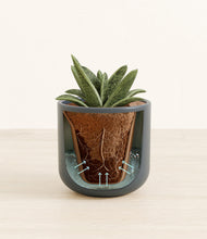 Load image into Gallery viewer, Iron Gray stand:all
