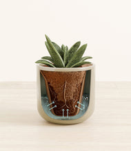 Load image into Gallery viewer, Sage Green stand:all
