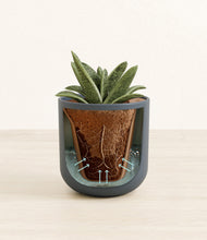 Load image into Gallery viewer, Iron Gray stand:all
