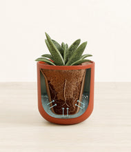 Load image into Gallery viewer, Earth Red stand:all
