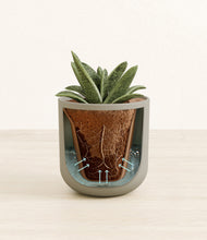 Load image into Gallery viewer, Sage Green stand:all
