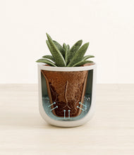 Load image into Gallery viewer, Natural Bamboo stand:all
