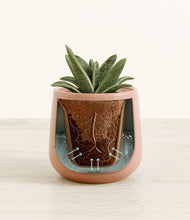 Load image into Gallery viewer, Calm Rose stand:all
