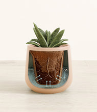 Load image into Gallery viewer, Gentle Pink stand:all
