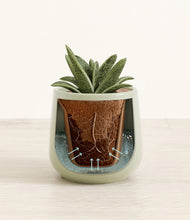 Load image into Gallery viewer, Turquoise stand:all
