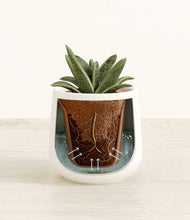 Load image into Gallery viewer, White stand:all
