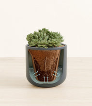 Load image into Gallery viewer, Iron Gray stand:all
