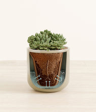 Load image into Gallery viewer, Sage Green stand:all
