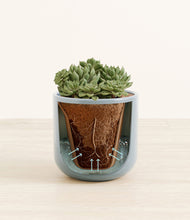 Load image into Gallery viewer, Misty Blue stand:all
