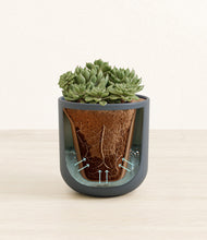 Load image into Gallery viewer, Iron Gray stand:all
