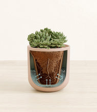 Load image into Gallery viewer, Sandy Pink stand:all
