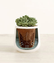 Load image into Gallery viewer, White stand:all
