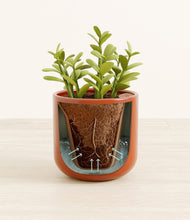 Load image into Gallery viewer, Glossy Red stand:all
