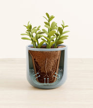 Load image into Gallery viewer, Misty Blue stand:all
