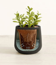 Load image into Gallery viewer, Black stand:all
