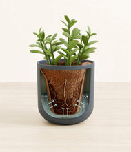 Load image into Gallery viewer, Iron Gray stand:all
