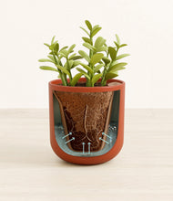 Load image into Gallery viewer, Earth Red stand:all
