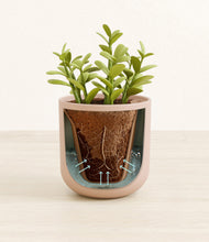 Load image into Gallery viewer, Sandy Pink stand:all
