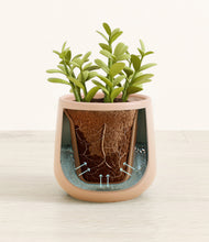 Load image into Gallery viewer, Gentle Pink stand:all
