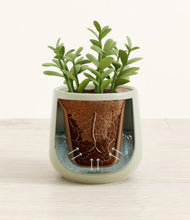 Load image into Gallery viewer, Turquoise stand:all
