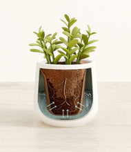 Load image into Gallery viewer, White stand:all
