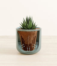 Load image into Gallery viewer, Reactive Aqua stand:all
