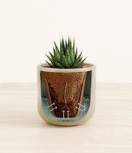 Load image into Gallery viewer, Sage Green stand:all
