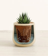 Load image into Gallery viewer, Almond Green stand:all
