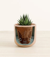 Load image into Gallery viewer, Glossy Pink stand:all
