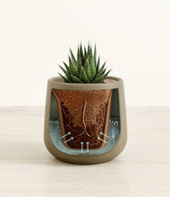 Load image into Gallery viewer, Olive stand:all
