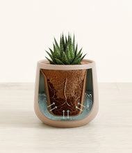 Load image into Gallery viewer, Eternal Gray stand:all
