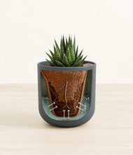 Load image into Gallery viewer, Iron Gray stand:all
